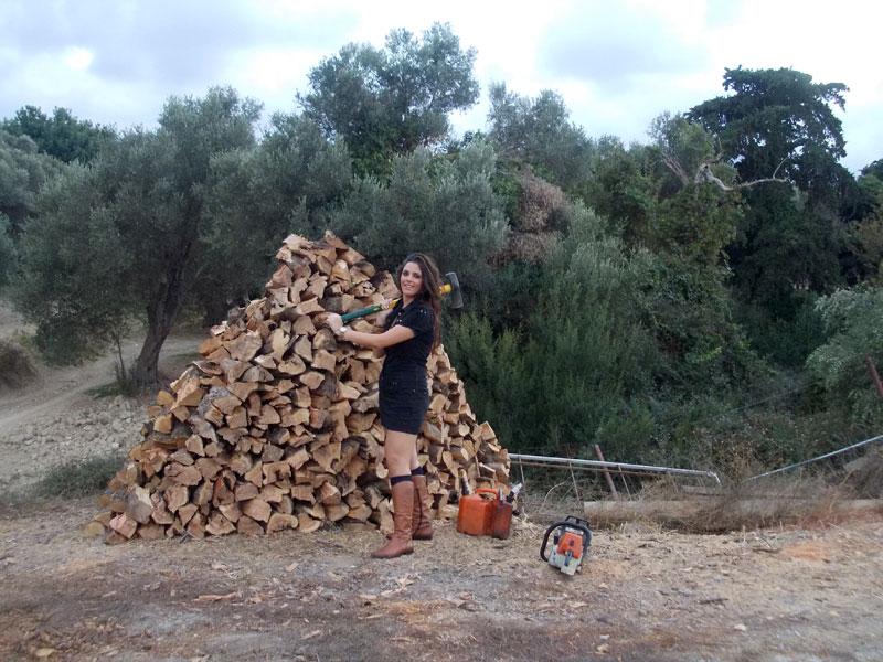 Λιτίνας Γεώργιος Εμπόριο Καυσόξυλων Ρέθυμνο Κρήτης