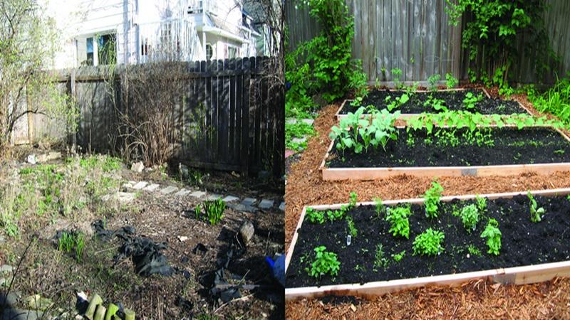 Υπηρεσίες Ιδανικός Κήπος Κατασκευή - Συντήρηση Κήπων - Εμπόριο Φυτών | Ιωάννινα Υπηρεσίες Ιδανικός Κήπος Κατασκευή - Συντήρηση Κήπων - Εμπόριο Φυτών | Ιωάννινα