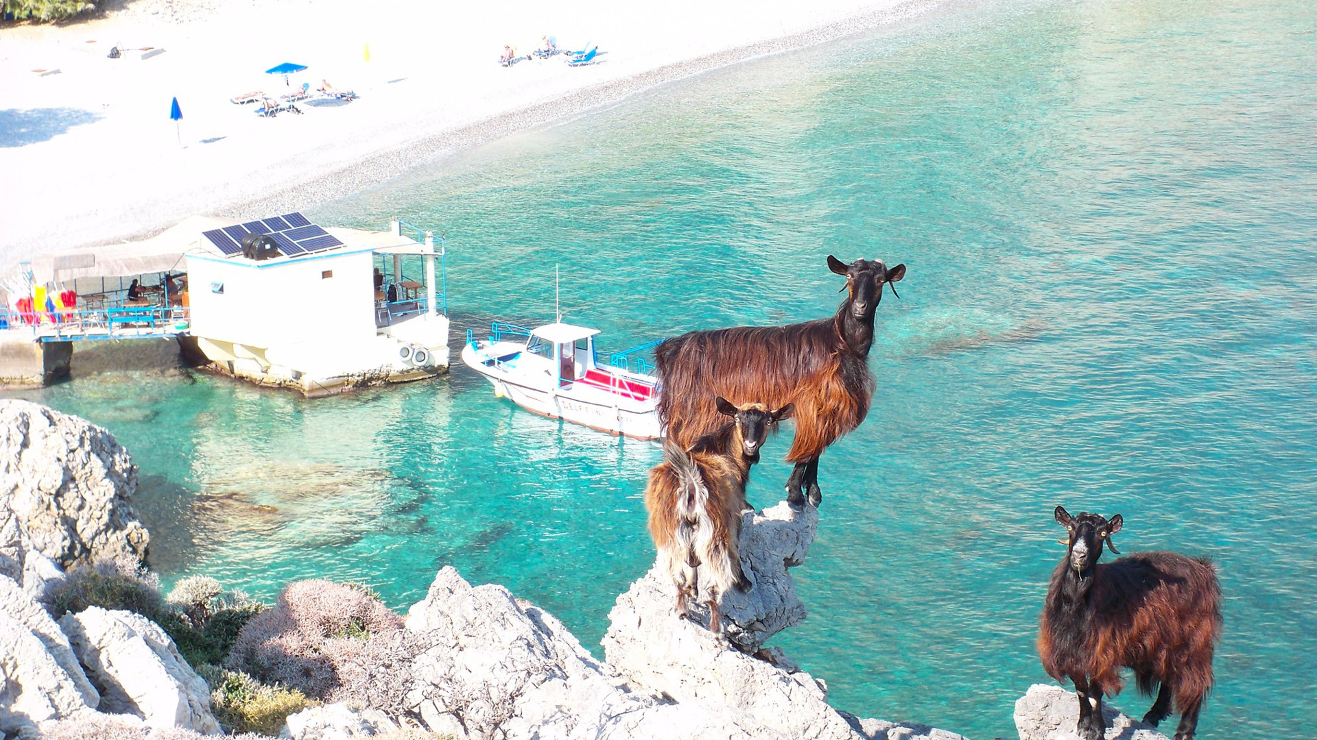 ΘΑΛΑΣΣΙΑ ΤΑΞΙ - ΜΕΤΑΦΟΡΕΣ ΣΦΑΚΙΑ ΧΑΝΙΑ - TAXI BOAT SFAKIA - PERSONAL 